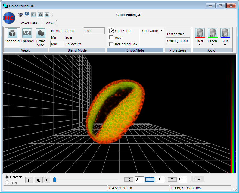 3-D Visualization of a Pollen Grain